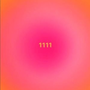 Meet your Posher, Luna